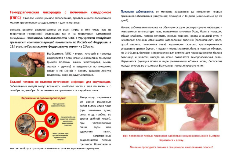 Информационный материал для информирования населения о мерах профилактики природно-очаговыми инфекциями.